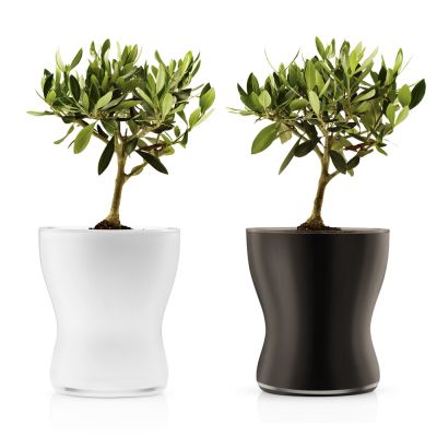 Blumentopf aus Glas